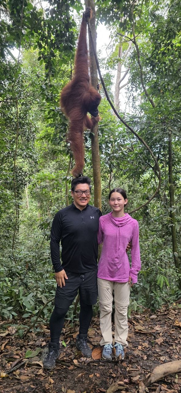 Orang-Utans Bukit Lawang