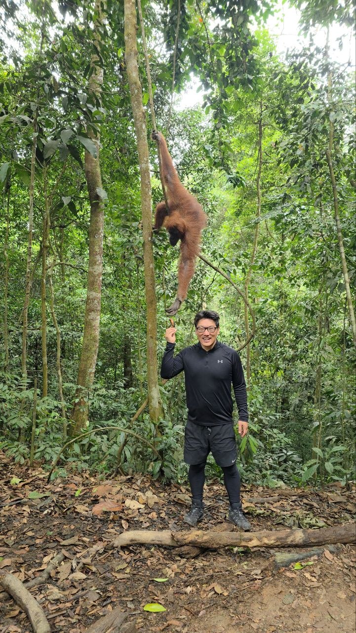 Orang-Utan Fütterung