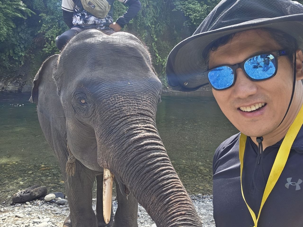 Elefanten Selfie
